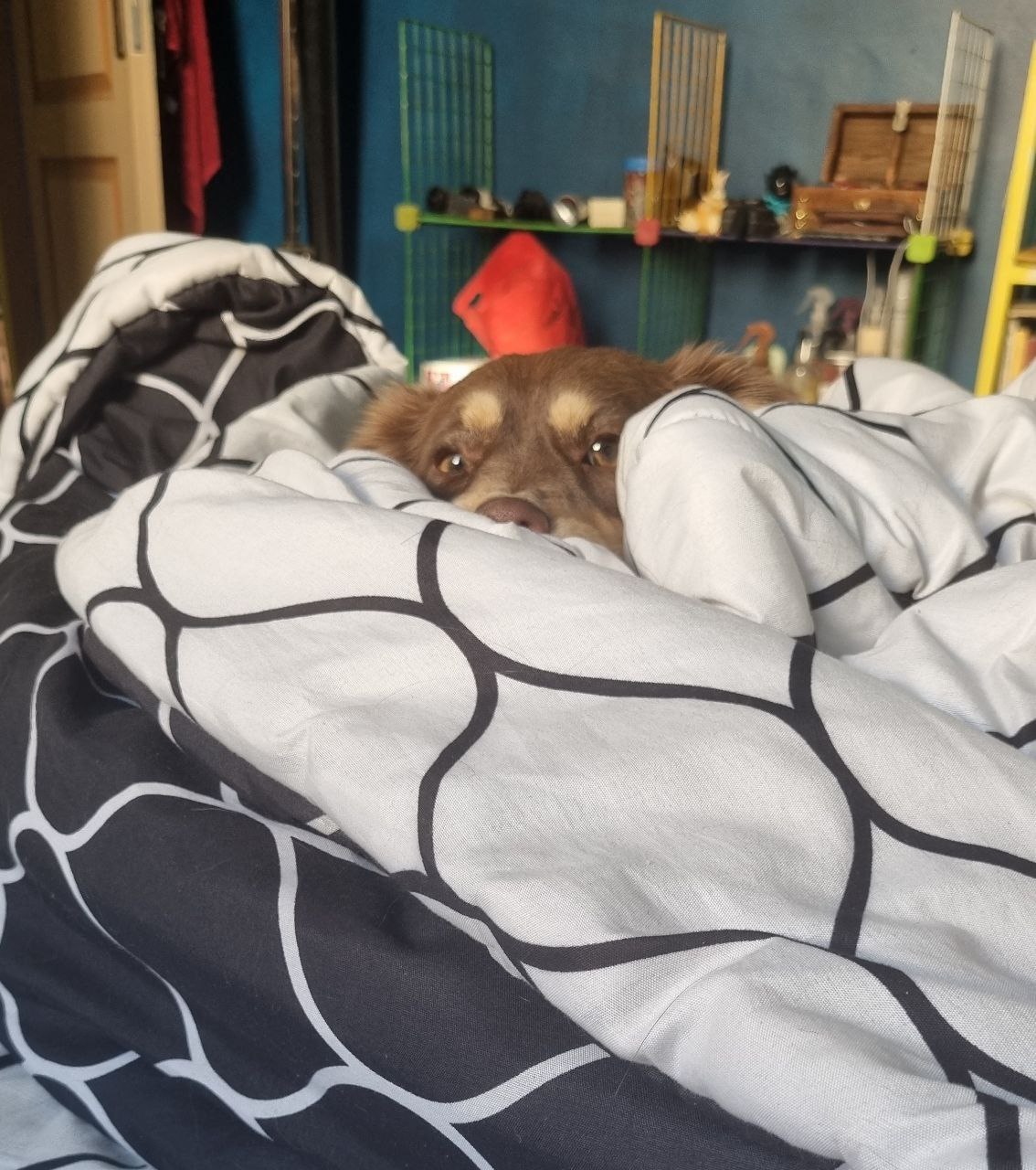 Caty
